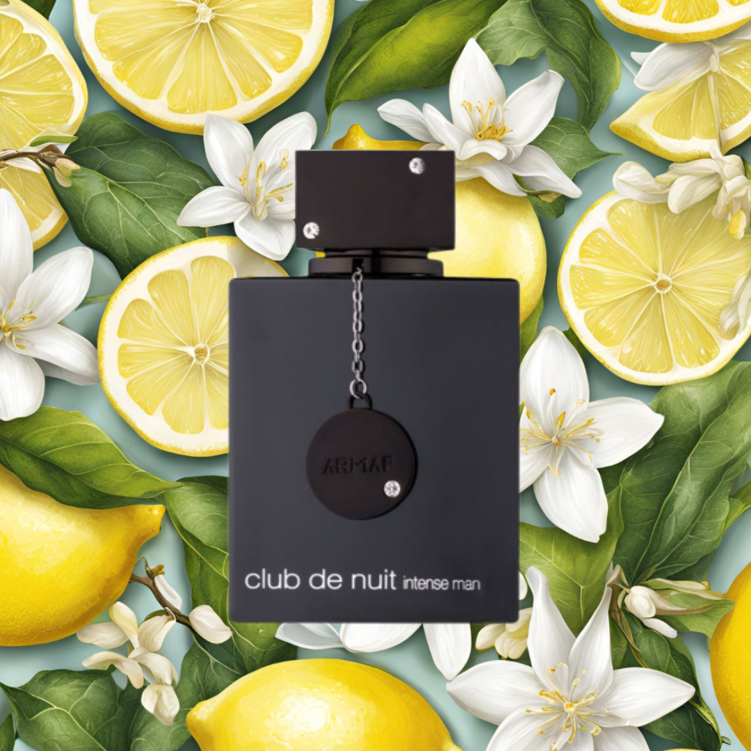 Armaf - Club de Nuit Intense | Duftprobe